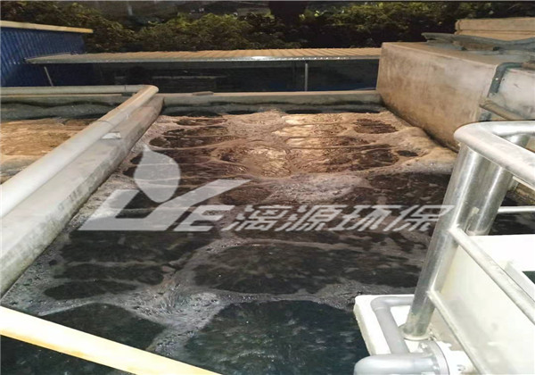 制药污水处理常规AAO工艺和倒置AAO工艺的比较