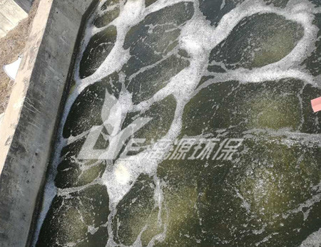 果冻废水处理工艺