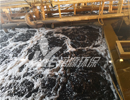 甲醇废水处理工艺