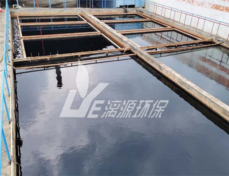 棕榈油加工废水处理